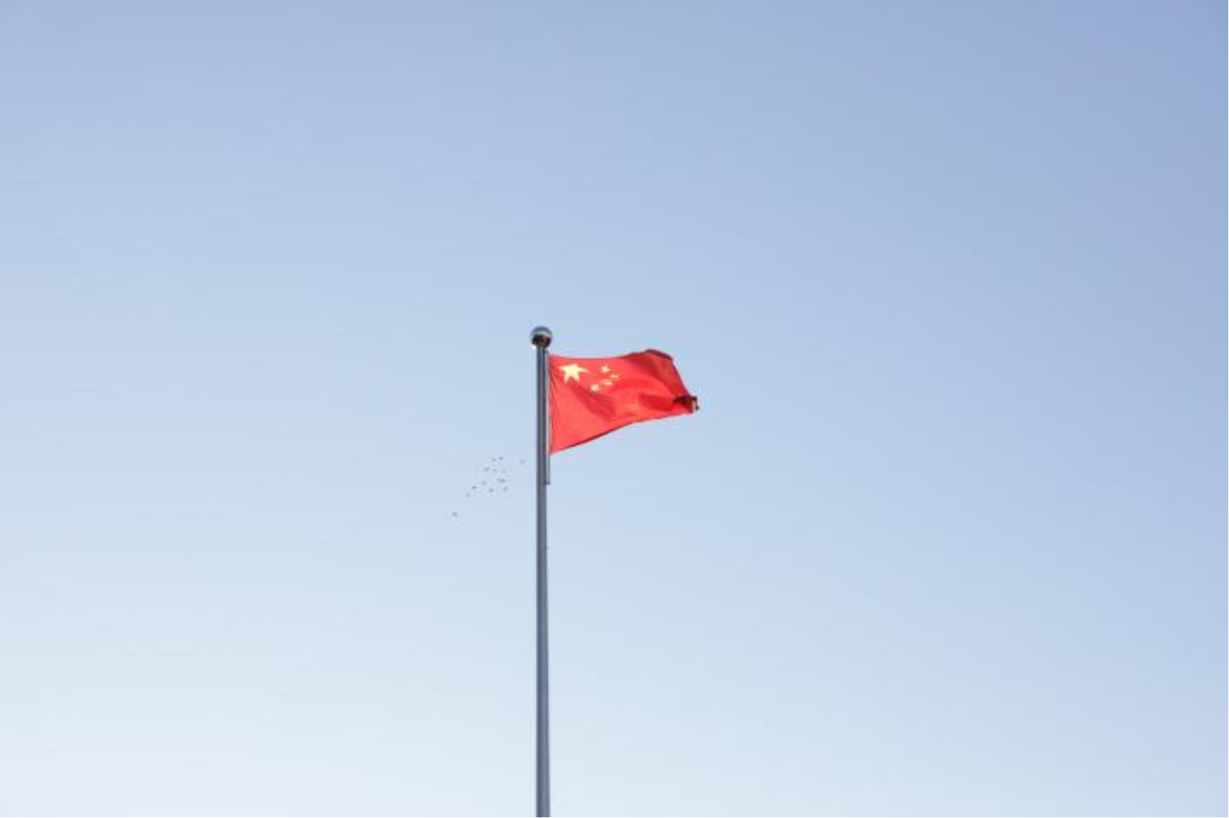 免费成人直播