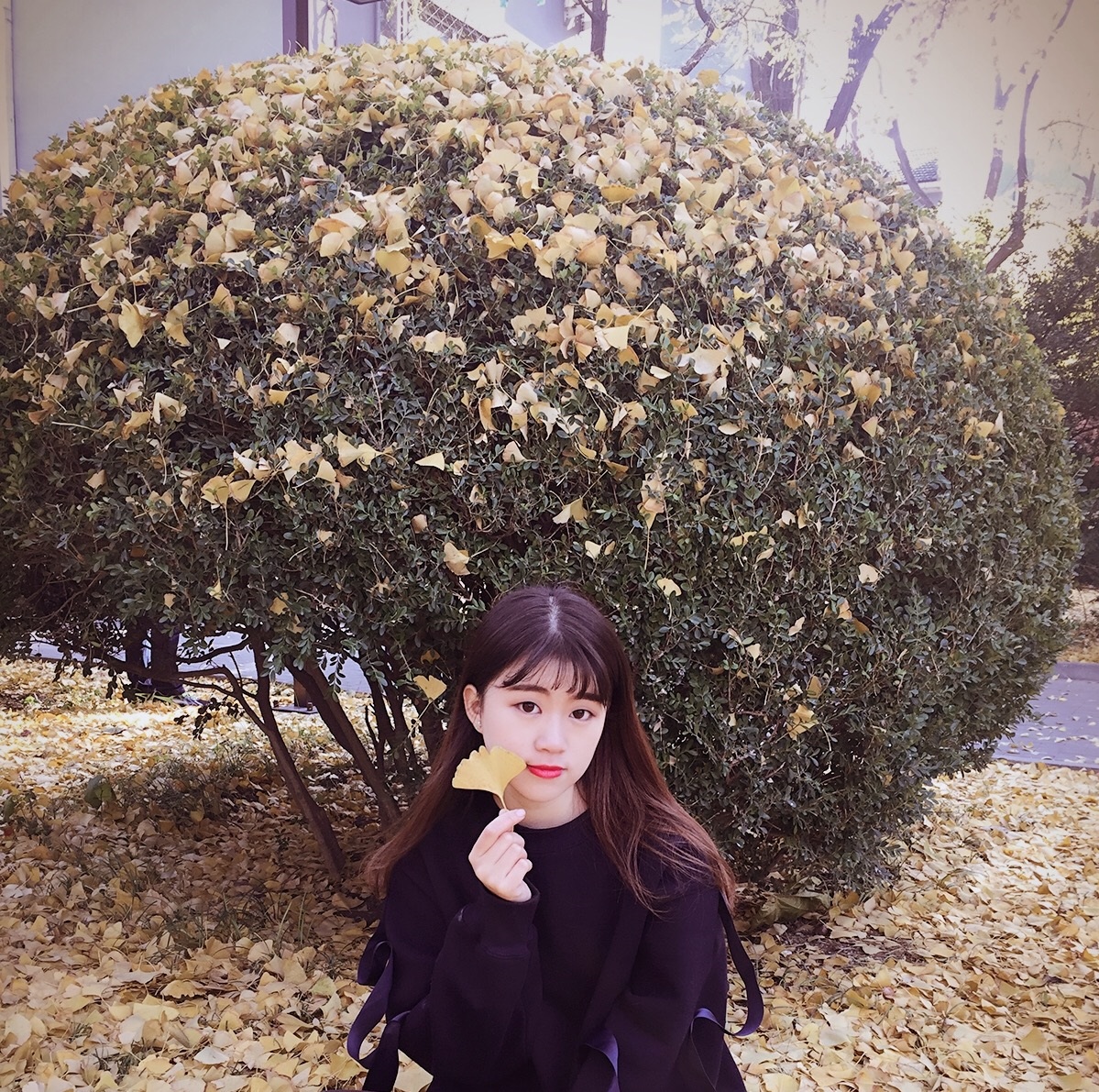 免费成人直播