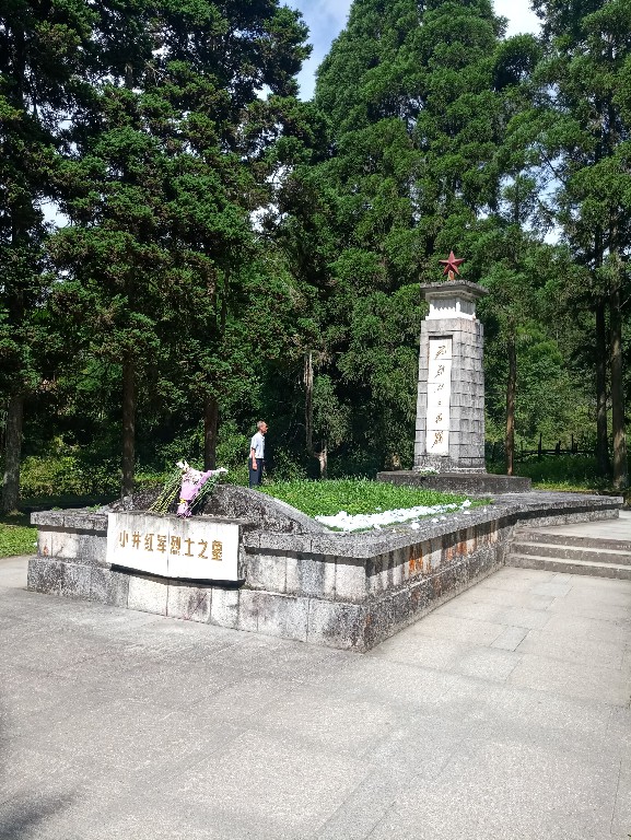 免费成人直播
