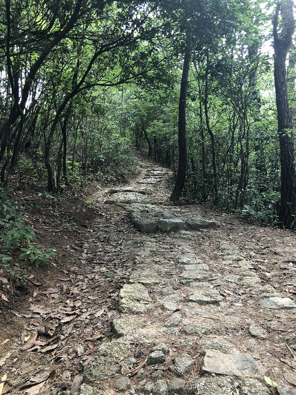 免费成人直播