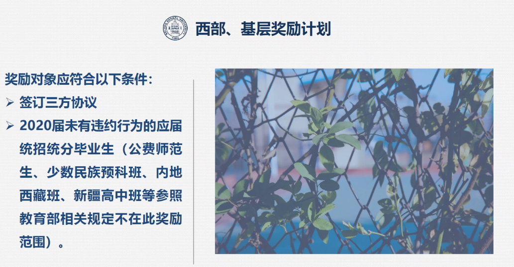 免费成人直播
