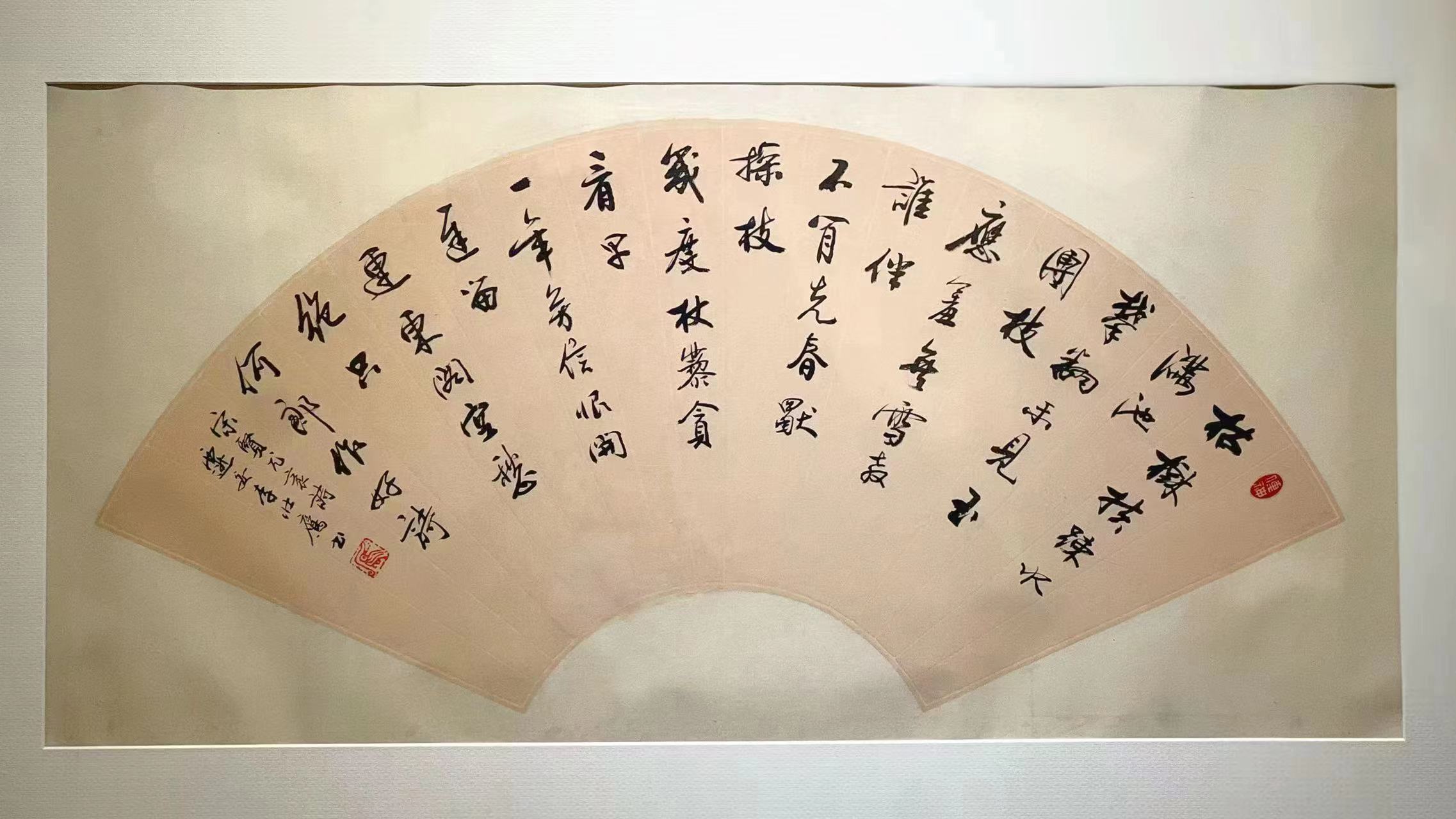 免费成人直播