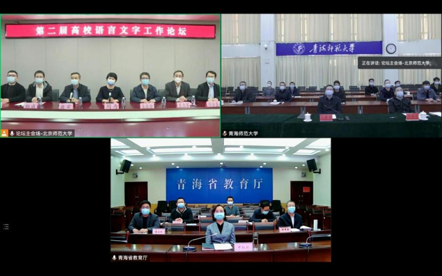 免费成人直播